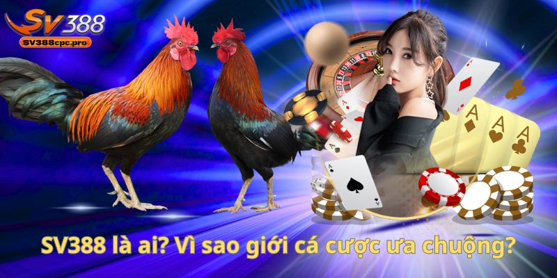 SV388 là ai? Vì sao giới cá cược ưa chuộng?
