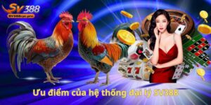 Ưu điểm của hệ thống đại lý SV388